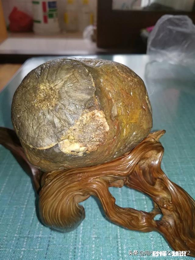 大家怎么看我捡的这款奇石《小鸡出壳》，来评评吧