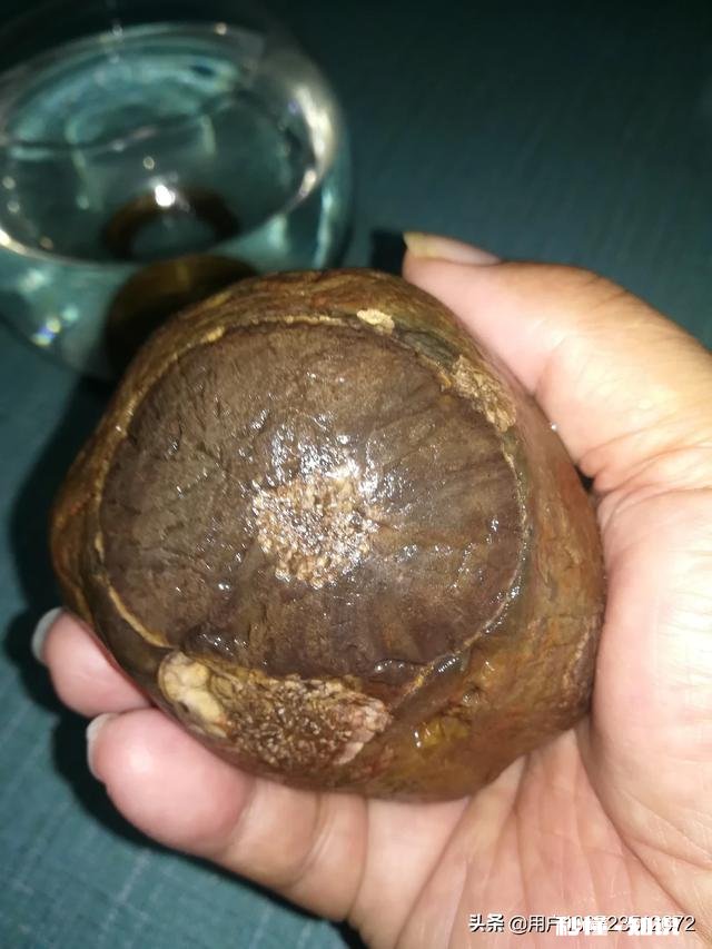 大家怎么看我捡的这款奇石《小鸡出壳》，来评评吧