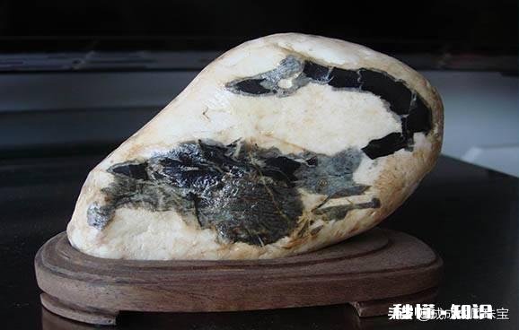 大家怎么看我捡的这款奇石《小鸡出壳》，来评评吧