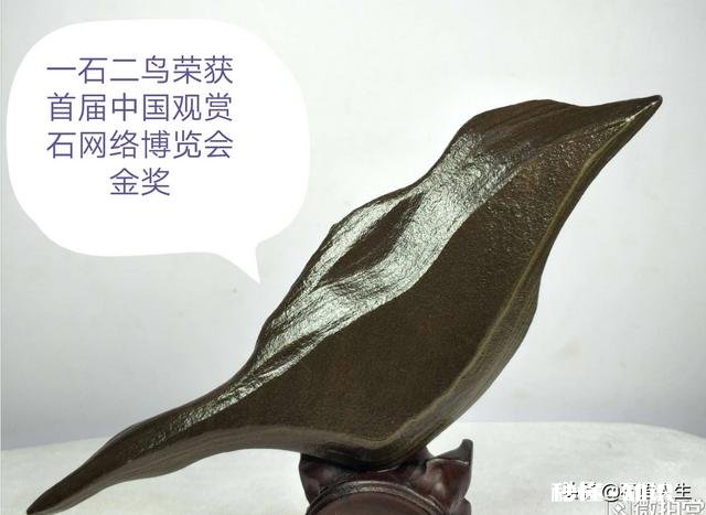 大家怎么看我捡的这款奇石《小鸡出壳》，来评评吧