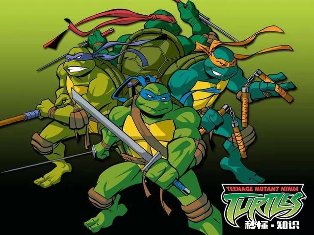 我养的黄头侧颈龟突然暴毙了，是怎么回事啊