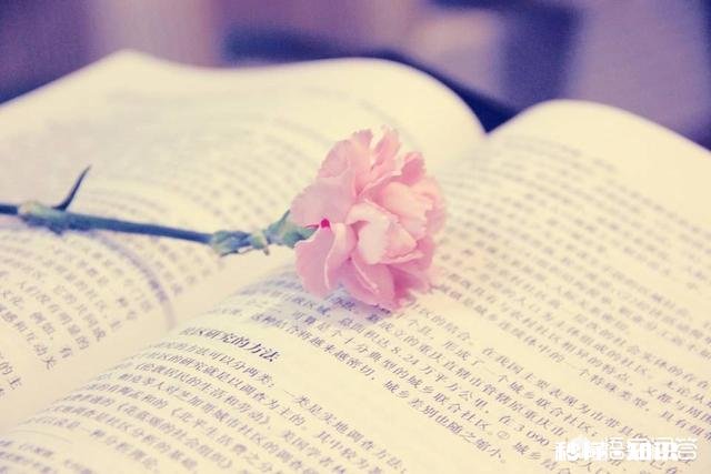 未来自媒体图文形式会被视频所取代吗