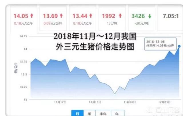 19年的猪价走势会如何