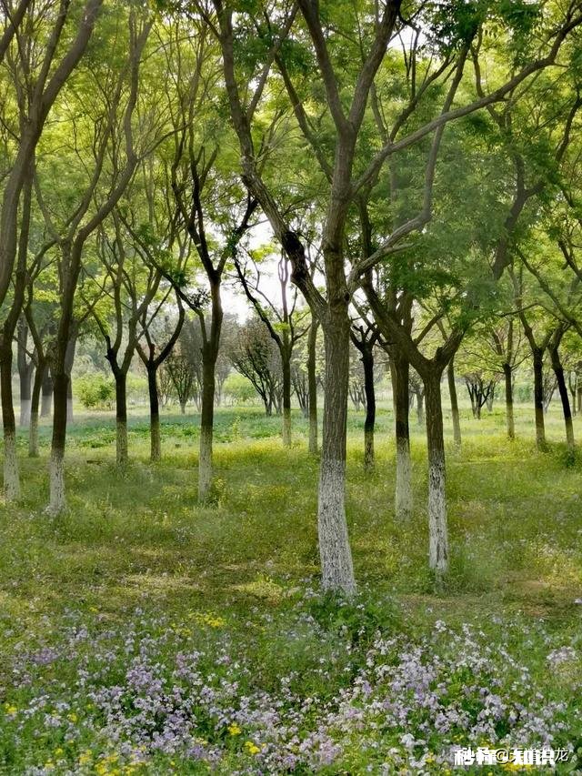 如何提高做事情的方法与效率,我太死板了,做什么都是按部就班