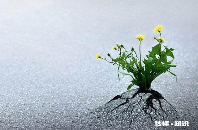 从高一到高三 如果下午考数学,中午躺在床上时总是心跳睡不着,结果昏昏沉沉地去考,结果考砸,怎样解决