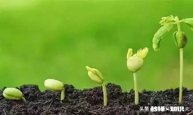 网上不推荐学医，今年报考医科大学的人数会减少吗