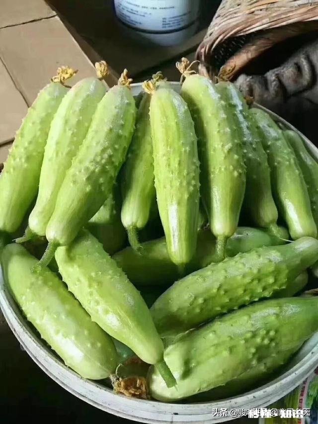 老公去闺蜜工作的城市旅游