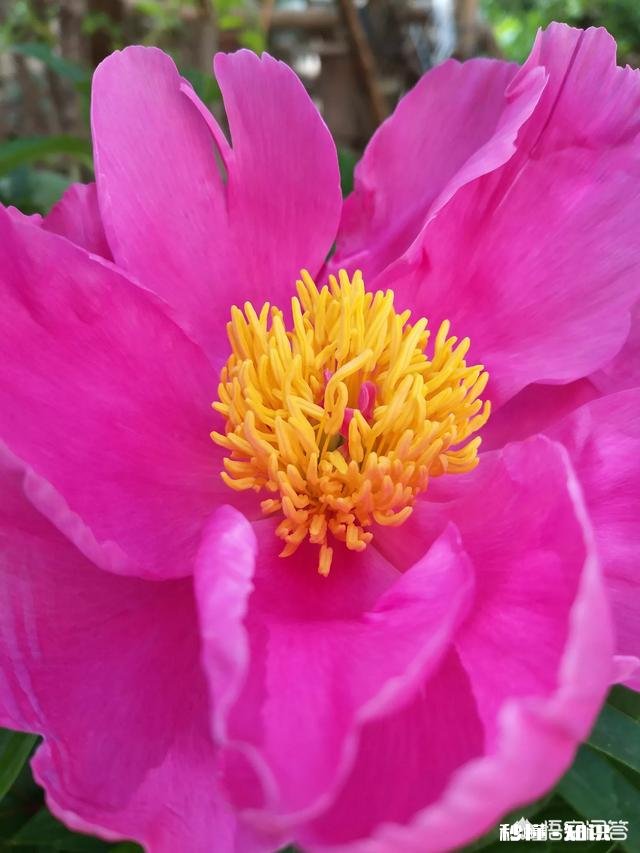 香坊区黎明街道第二次集中拆除朝阳村区域违法建筑, 你怎么看