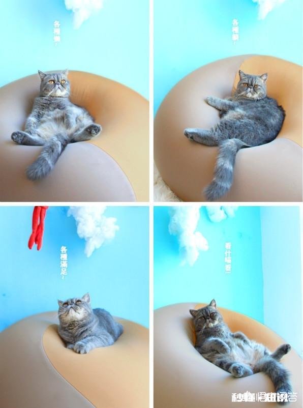 过节出去玩还还是宅在家更舒服