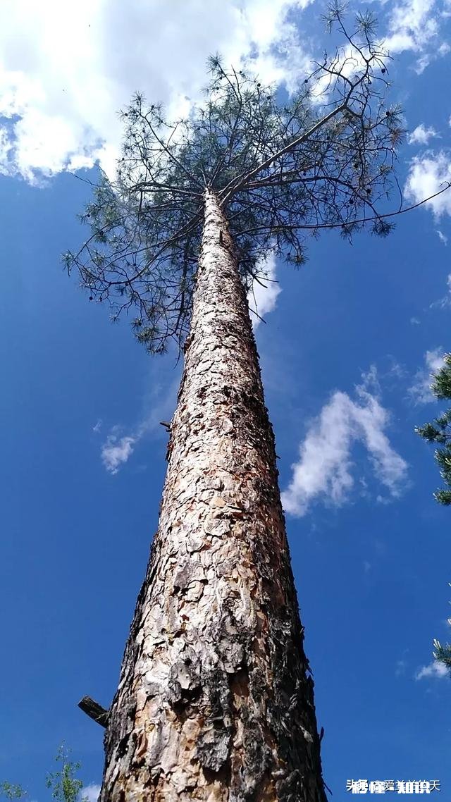 现在哪里不下雨能旅游的地方