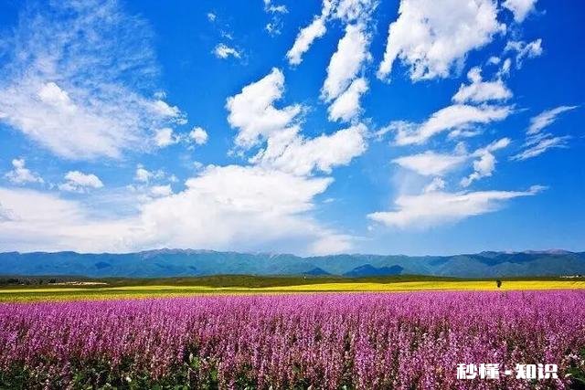 现在哪里不下雨能旅游的地方
