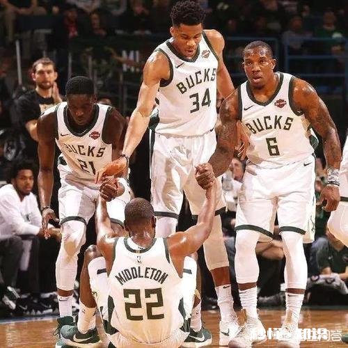 2019年NBA哪支球队谁有机会夺冠,请给出你的答案