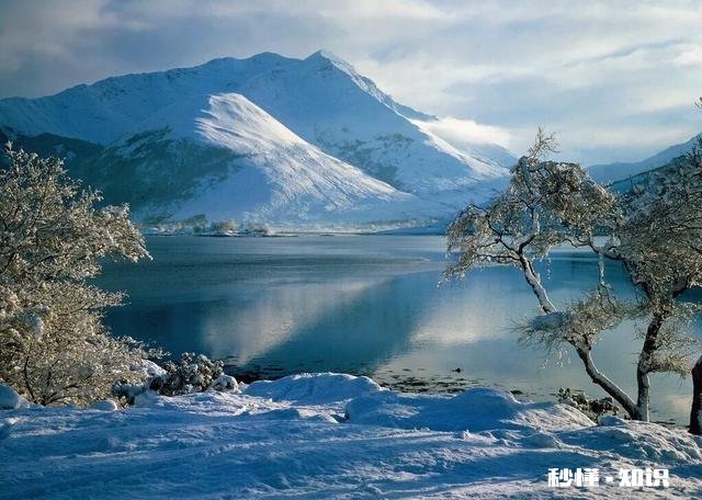 极地邮轮在我国的市场如何