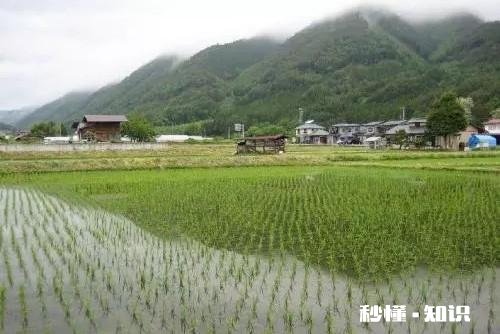 “无论亲戚或朋友,只有经济等各方面接近,关系才能持久”怎么看