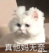 为获得高级职称，你经历了哪些心酸