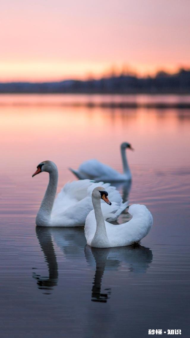 要是你爱上一个根本就看不起你的人,你会怎么办