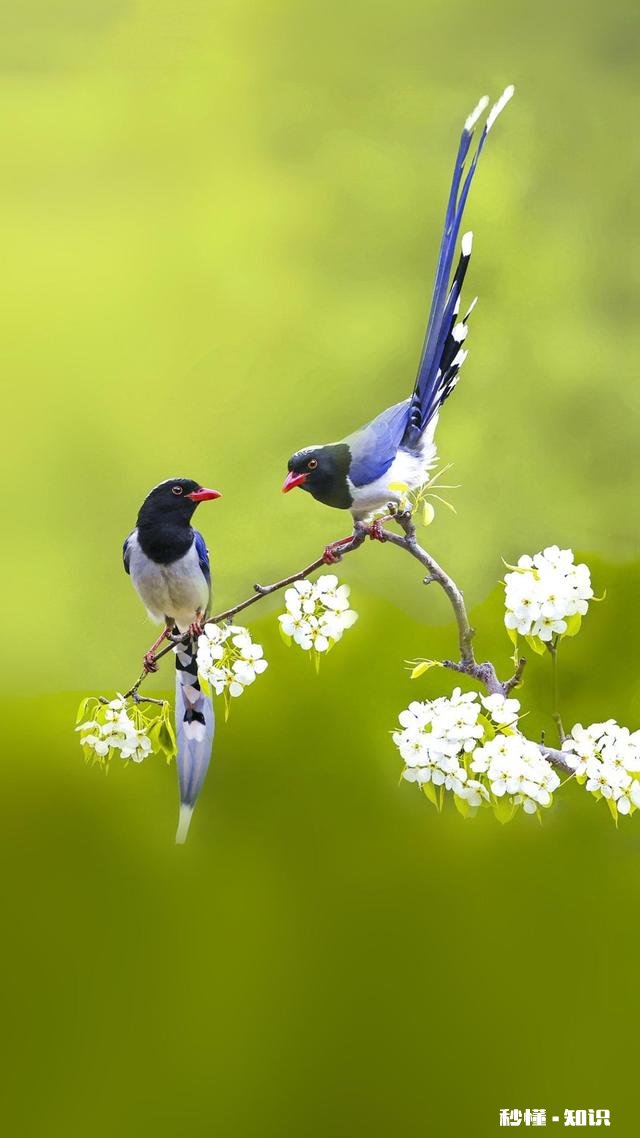 要是你爱上一个根本就看不起你的人,你会怎么办