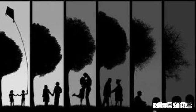 520当天江北新区303对新人登记结婚, 你怎么看