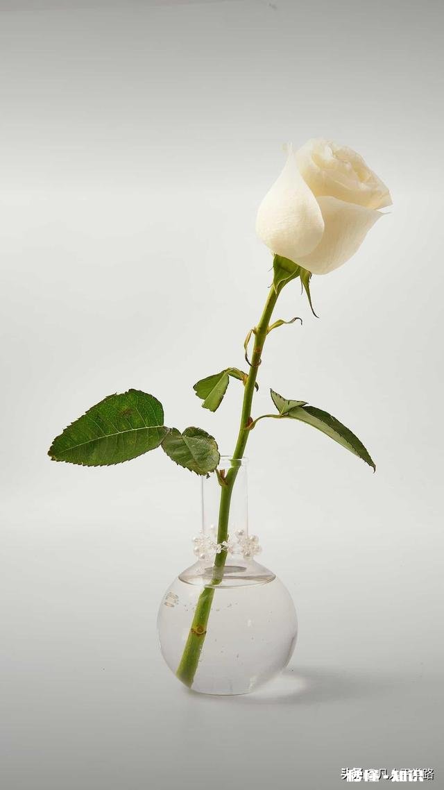 别因为太过在意别人的看法，而错过许多，你们错过了没