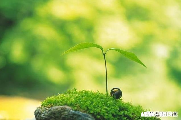 忘不了前任,得知他结婚了,也想赌气结了,这段婚姻会幸福吗