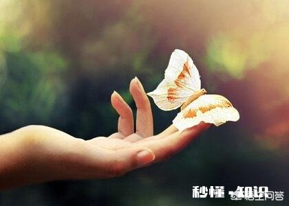 忘不了前任,得知他结婚了,也想赌气结了,这段婚姻会幸福吗