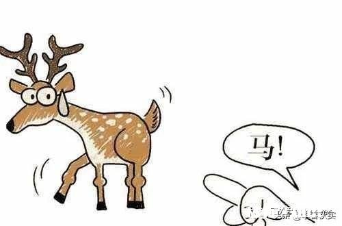 历史上有哪些颇具讽刺意味的故事