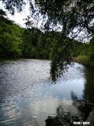 你有故事寄存么