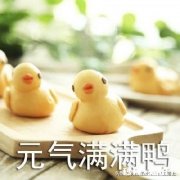 怎么做到每天元气满满