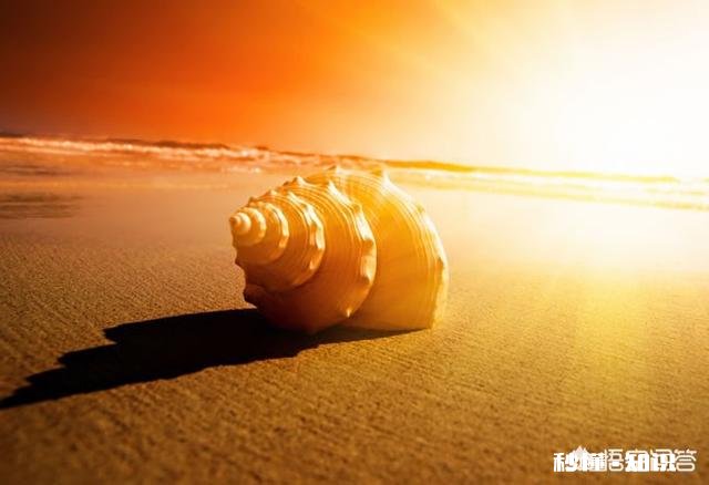 心机这种东西是天生的，还是后天环境影响的