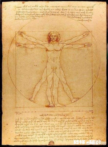 是什么样的进化导致生物器官几乎都朝着偶数对称方向发展