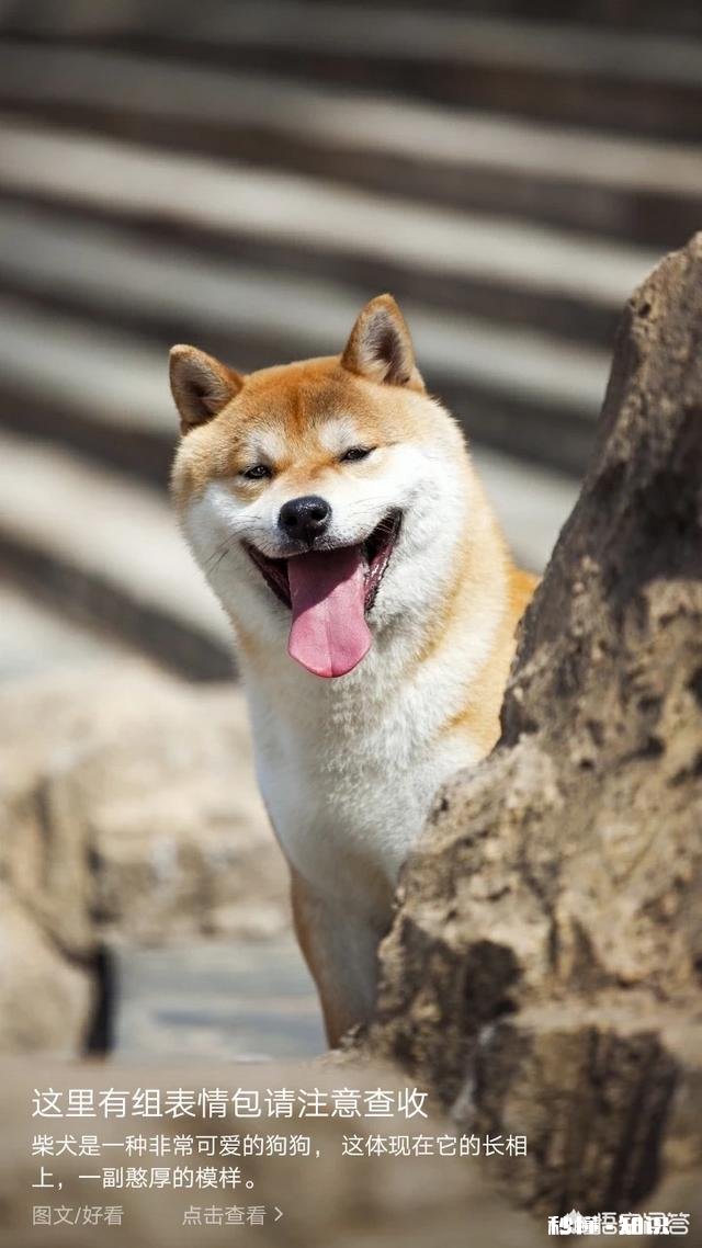 人该尊重本能还是尊重教化人之初本恶还是本善