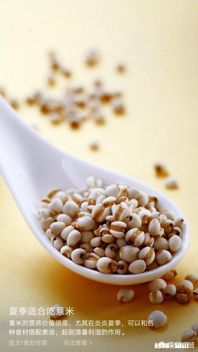 人该尊重本能还是尊重教化人之初本恶还是本善