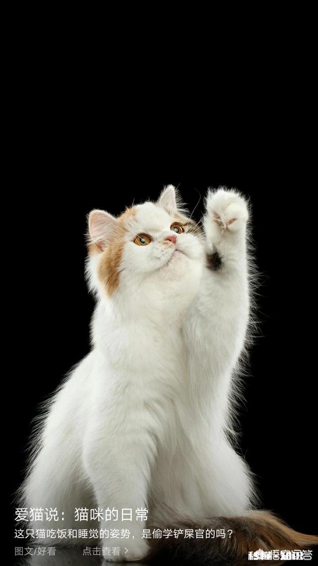 人该尊重本能还是尊重教化人之初本恶还是本善