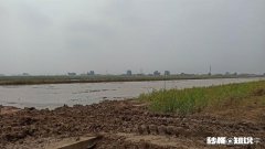 现在农村都是老人在种地，以后这些人干不动了，土地是否会荒了