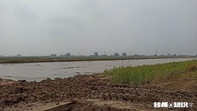 现在农村都是老人在种地,以后这些人干不动了,土地是否会荒了