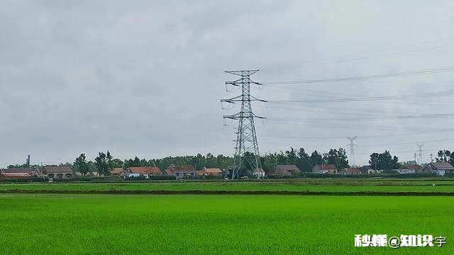 现在农村都是老人在种地,以后这些人干不动了,土地是否会荒了