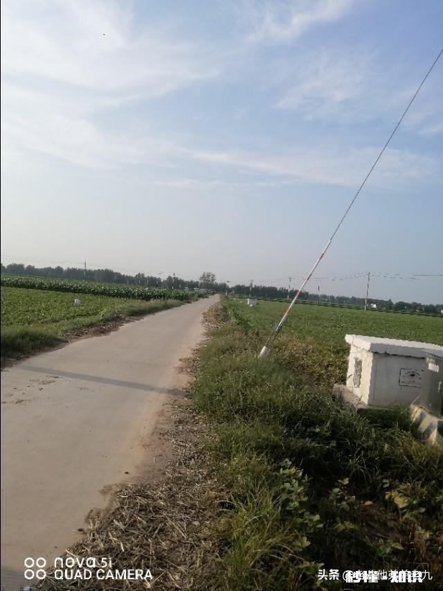 现在农村都是老人在种地,以后这些人干不动了,土地是否会荒了