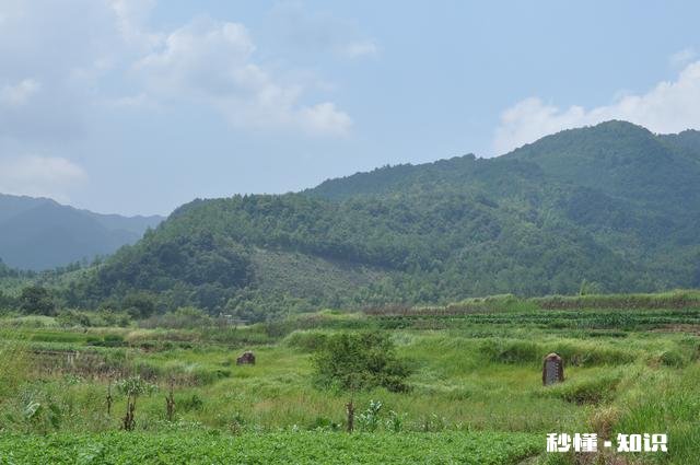 现在农村都是老人在种地,以后这些人干不动了,土地是否会荒了