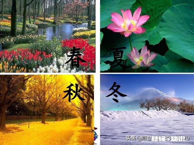 现在农村都是老人在种地,以后这些人干不动了,土地是否会荒了