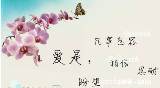 结婚比不结婚还孤单，若是你，这婚姻还继续么