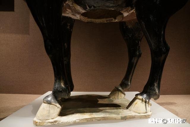 洛阳出土的唐三彩最富有特色的哪一个现藏于何处