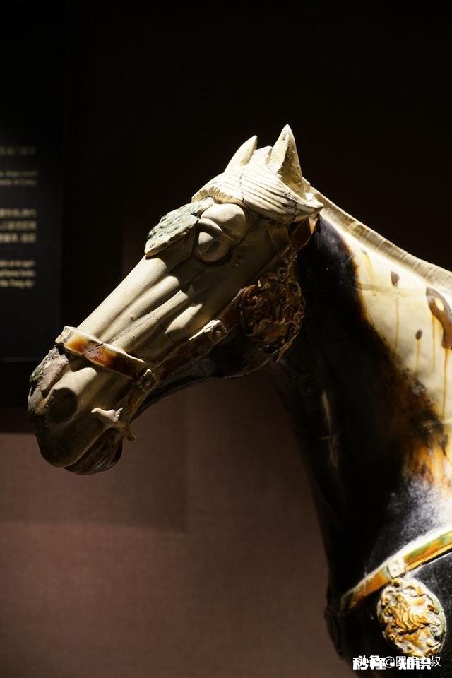 洛阳出土的唐三彩最富有特色的哪一个现藏于何处