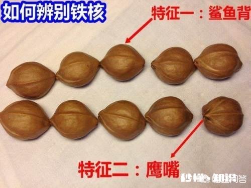 橄榄核白筋可以盘掉吗