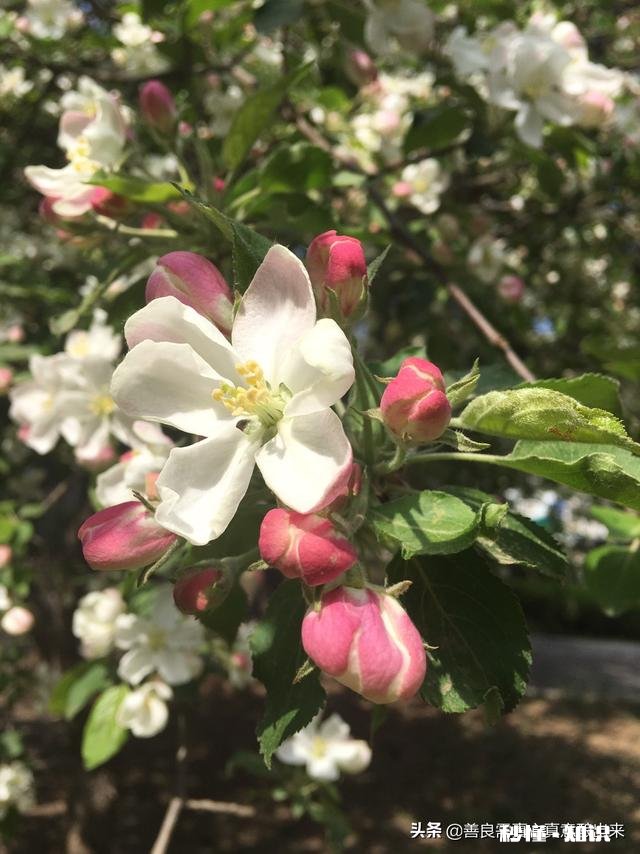 用一句话来形容头条己经融入了你的生活中，可以吗