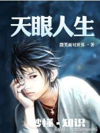 推荐一些好看的官场小说，或者都市小说。虚幻