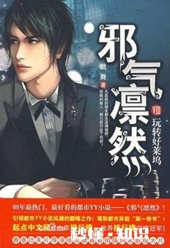 推荐一些好看的官场小说，或者都市小说。虚幻