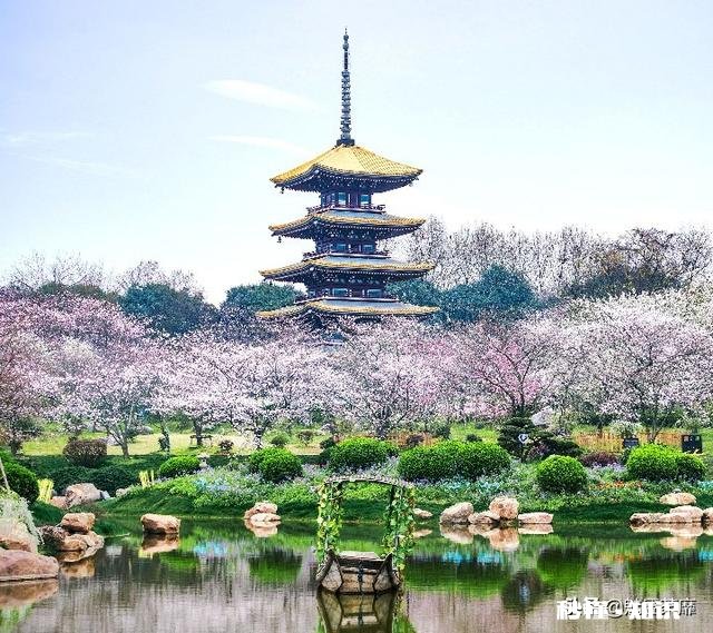 那些分手后哭的撕心裂肺的人后来怎么样了