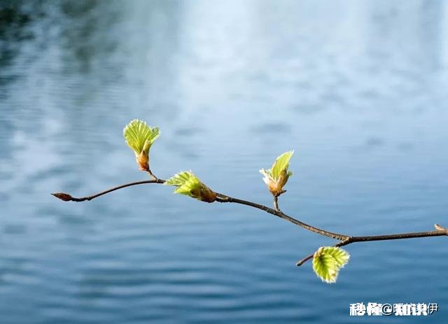那些分手后哭的撕心裂肺的人后来怎么样了