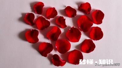 那些分手后哭的撕心裂肺的人后来怎么样了