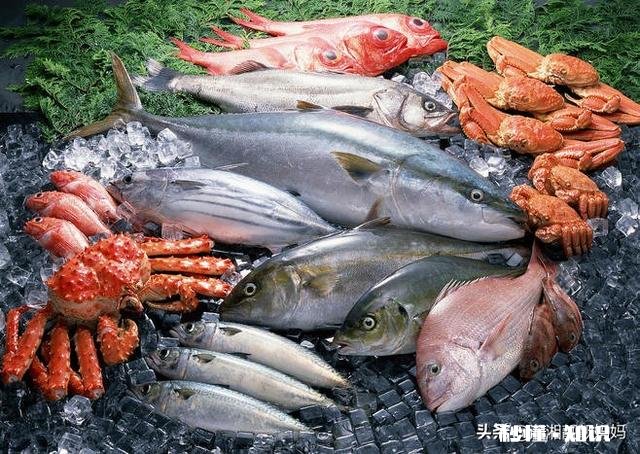 买的海鲜如何做到保存新鲜